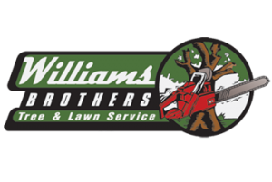 Williams Brothers logo